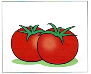 Trắc nghiệm Unit 18: Từ vựng và Ngữ âm Tiếng Anh 4 Global Success 0 2