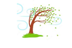 Trắc nghiệm Unit 7 Từ vựng Tiếng Anh 4 Family and Friends 0 9