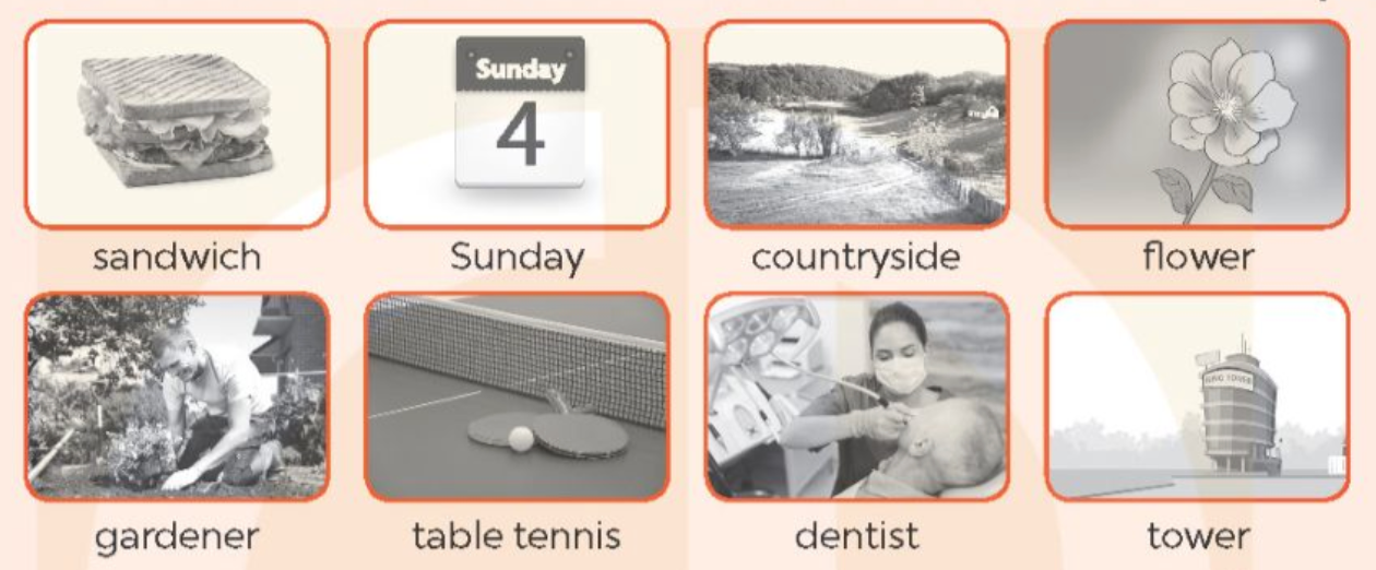 Try it yourself 1 - SBT Tiếng Anh 5 - Global Success 1 1