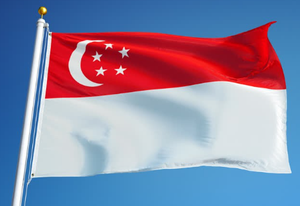Image Example for Singapore