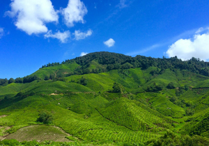 Image Example for hill