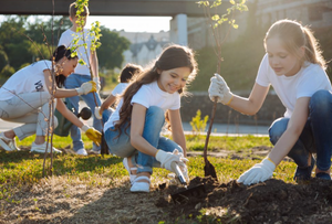 Image Example for plant trees