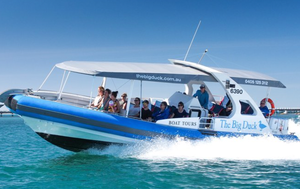 Image Example for take a boat trip around the bay