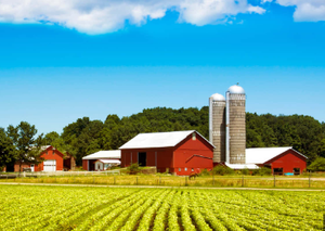 Image Example for farm