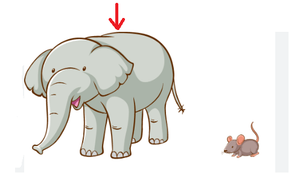 Image Example for big