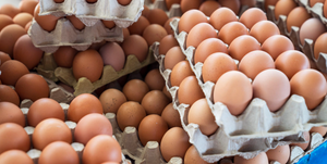 Image Example for a lot of