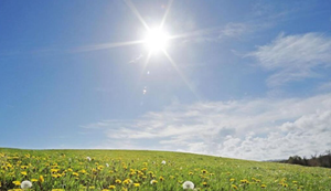 Image Example for sunny