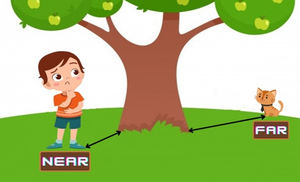 Image Example for near