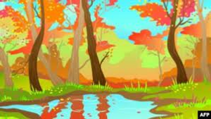 Image Example for picture