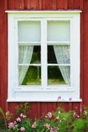 Image Example for window