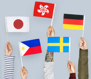 Image Example for nationality