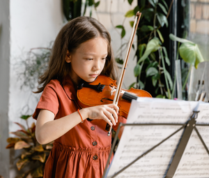 Image Example for play the violin