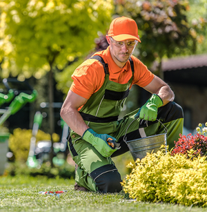 Image Example for gardener