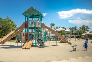 Image Example for playground