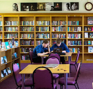 Image Example for library