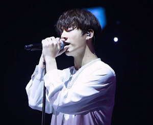 Image Example for singer