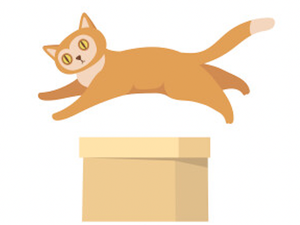 Image Example for above