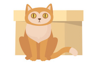 Image Example for in front of