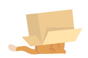 Image Example for under