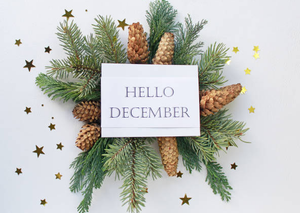 Image Example for December