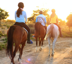 Image Example for ride horses