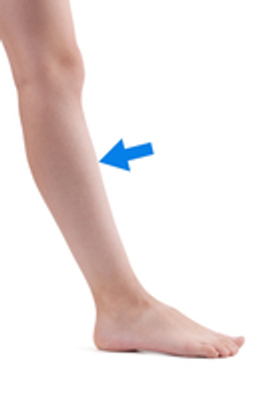 Image Example for shin