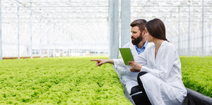 Image Example for farming technique