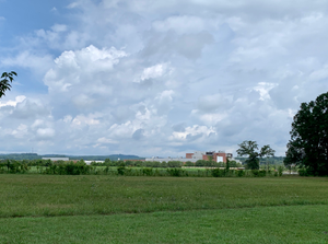 Image Example for lowland