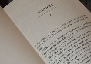 Image Example for novel