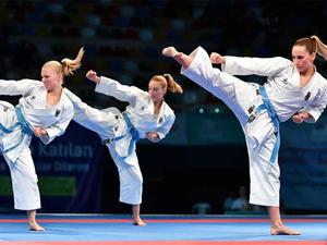 Image Example for martial art