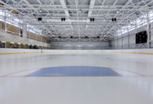 Image Example for rink