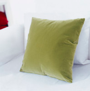 Image Example for cushion
