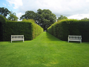 Image Example for hedge