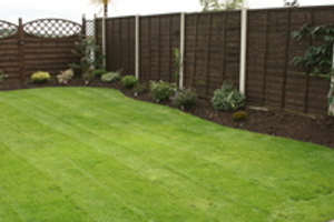 Image Example for lawn