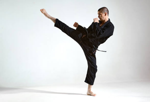 Image Example for martial art