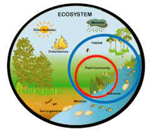 Image Example for ecosystem