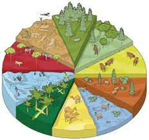 Image Example for habitat