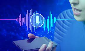 Image Example for voice recognition