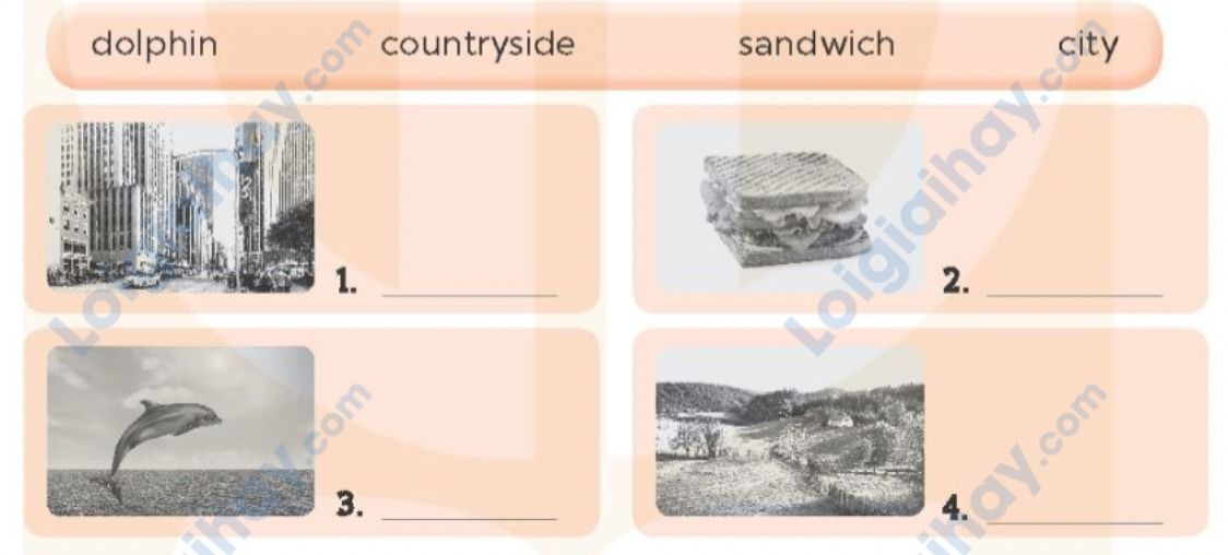 Unit 1. All about me! - SBT Tiếng Anh 5 - Global Success 1 1
