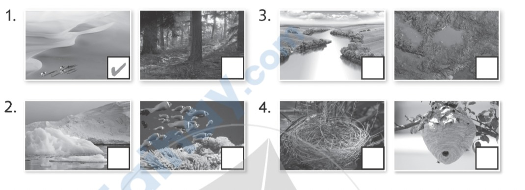 Unit 1. Animal habitats - SBT Tiếng Anh 5 - Explore Our World 2 1