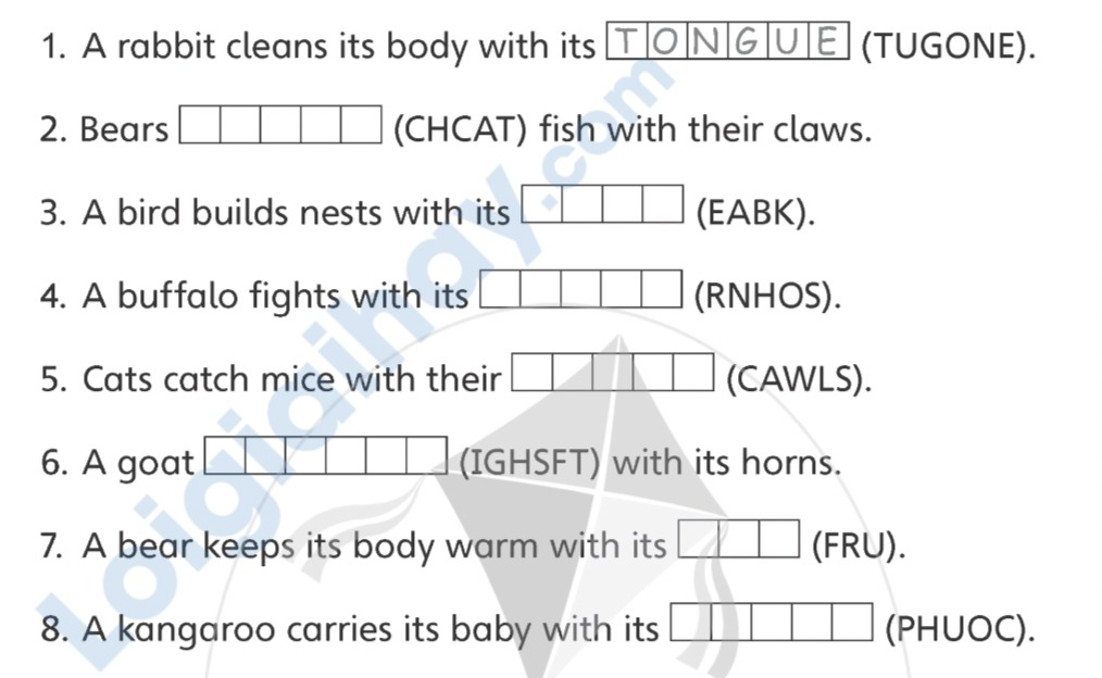 Unit 1. Animal habitats - SBT Tiếng Anh 5 - Explore Our World 4 1