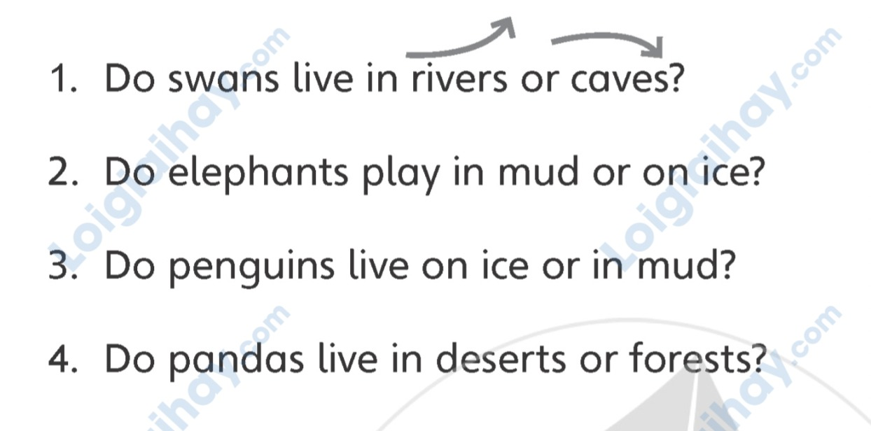 Unit 1. Animal habitats - SBT Tiếng Anh 5 - Explore Our World 8 1