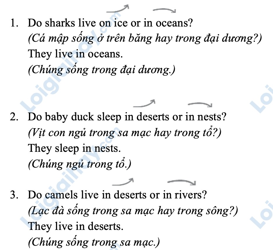 Unit 1. Animal habitats - SBT Tiếng Anh 5 - Explore Our World 9 1