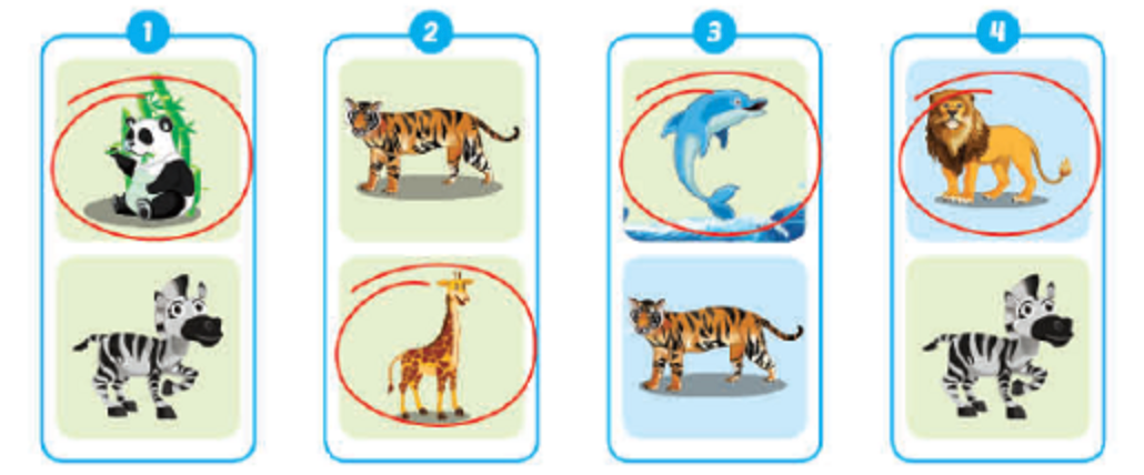 Unit 1. Animals - SBT Tiếng Anh 4 - iLearn Smart Start 6 2