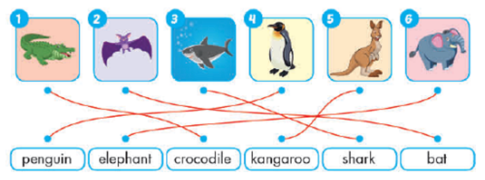 Unit 1. Animals - SBT Tiếng Anh 4 - iLearn Smart Start 8 2