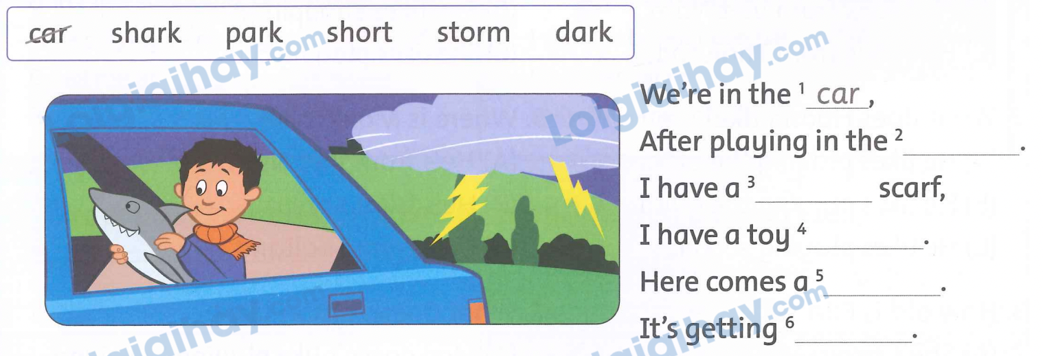 Unit 10. Do they like fishing? - SBT Tiếng Anh 4 - Family and Friends 8 1