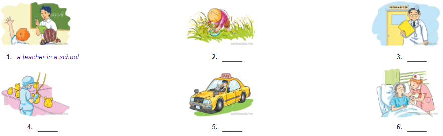 Unit 12. What does your father do? trang 48 Sách bài tập (SBT) Tiếng Anh 4 mới 2 1