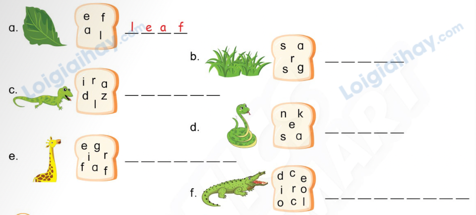 Unit 13. Animals - SBT Tiếng Anh 4 - Phonics Smart 0 1