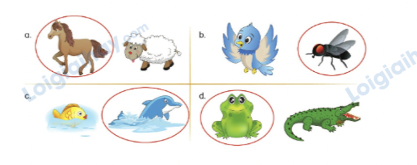 Unit 13. Animals - SBT Tiếng Anh 4 - Phonics Smart 10 2