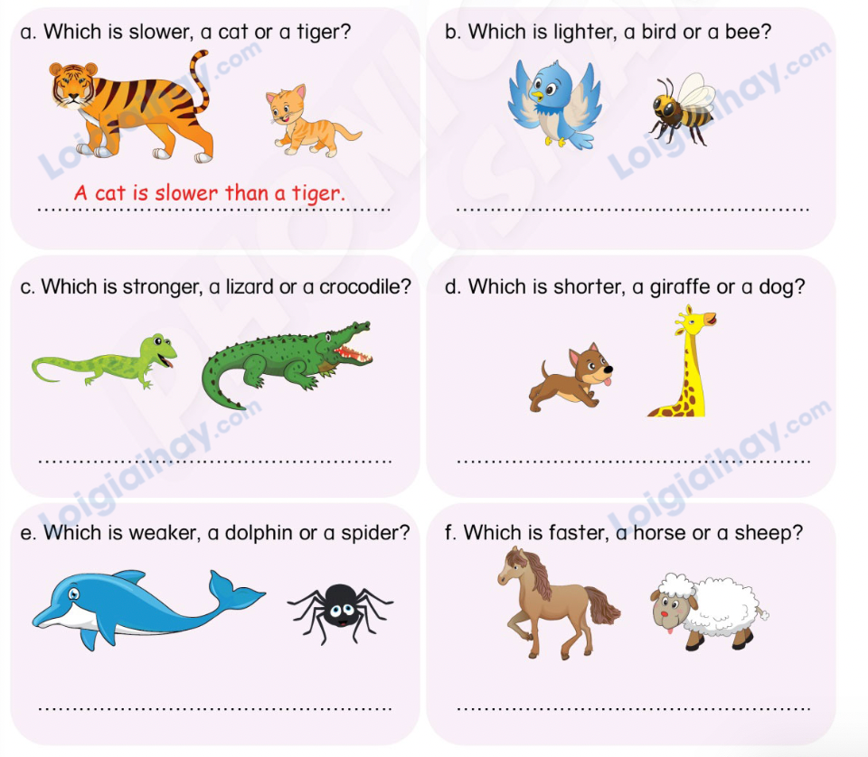 Unit 13. Animals - SBT Tiếng Anh 4 - Phonics Smart 11 1